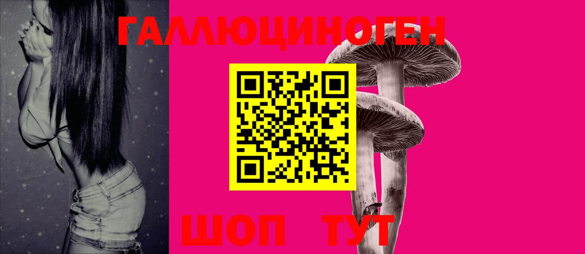 Озёры  Галлюциногенные грибы Psilocybe  Псилоцибиновые грибы GOLDEN TEACHER  Вход с VPN 
